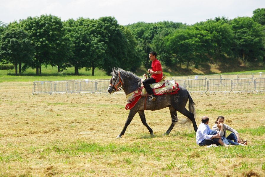 Le Moussem des Cultures 2008 016.jpg